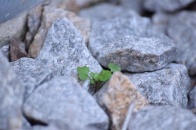 Full frame shot of rocks