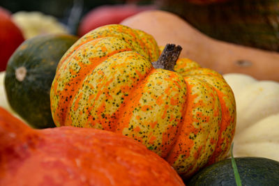 Close-up of pumpkin for sale in market