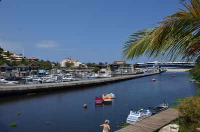 Boats moored at harbor against clear sky