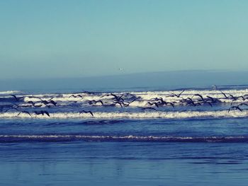 Scenic view of sea against clear sky