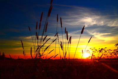 Scenic view of field against sky at sunset