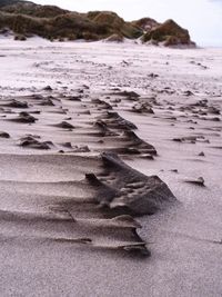 Scenic view of beach