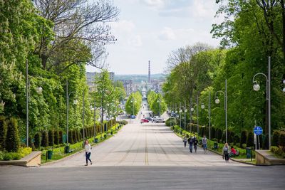 People walking on road in city