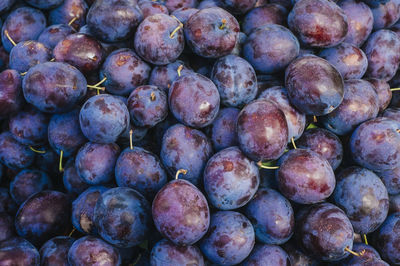 Full frame shot of red grapes in market for sale