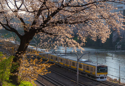 View of train on railroad track