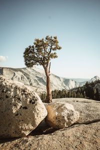 Scenic view of land against clear sky