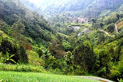 Scenic view of rural landscape