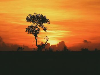 Silhouette tree on field against orange sky