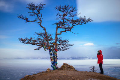Person standing at beach near tree against sky during winter
