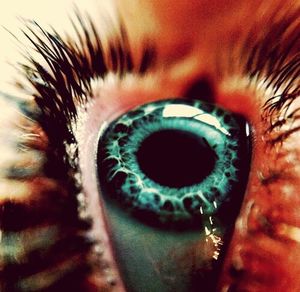 human eye