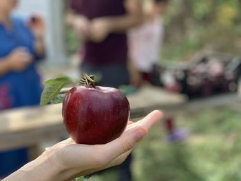 Close-up of hand holding strawberry