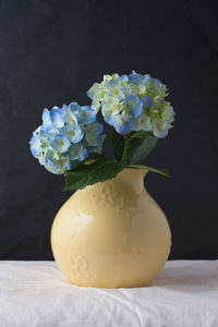 Close-up of white roses in vase