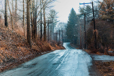 Empty road amidst trees during winter