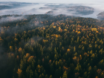 High angle view of trees on landscape against sky