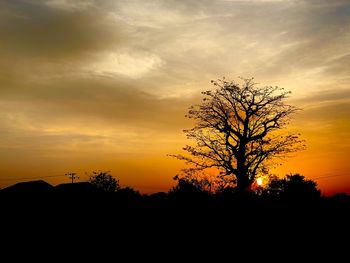 Silhouette trees against sky during sunset