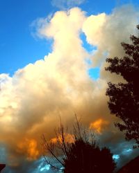 Low angle view of silhouette trees against sky at sunset