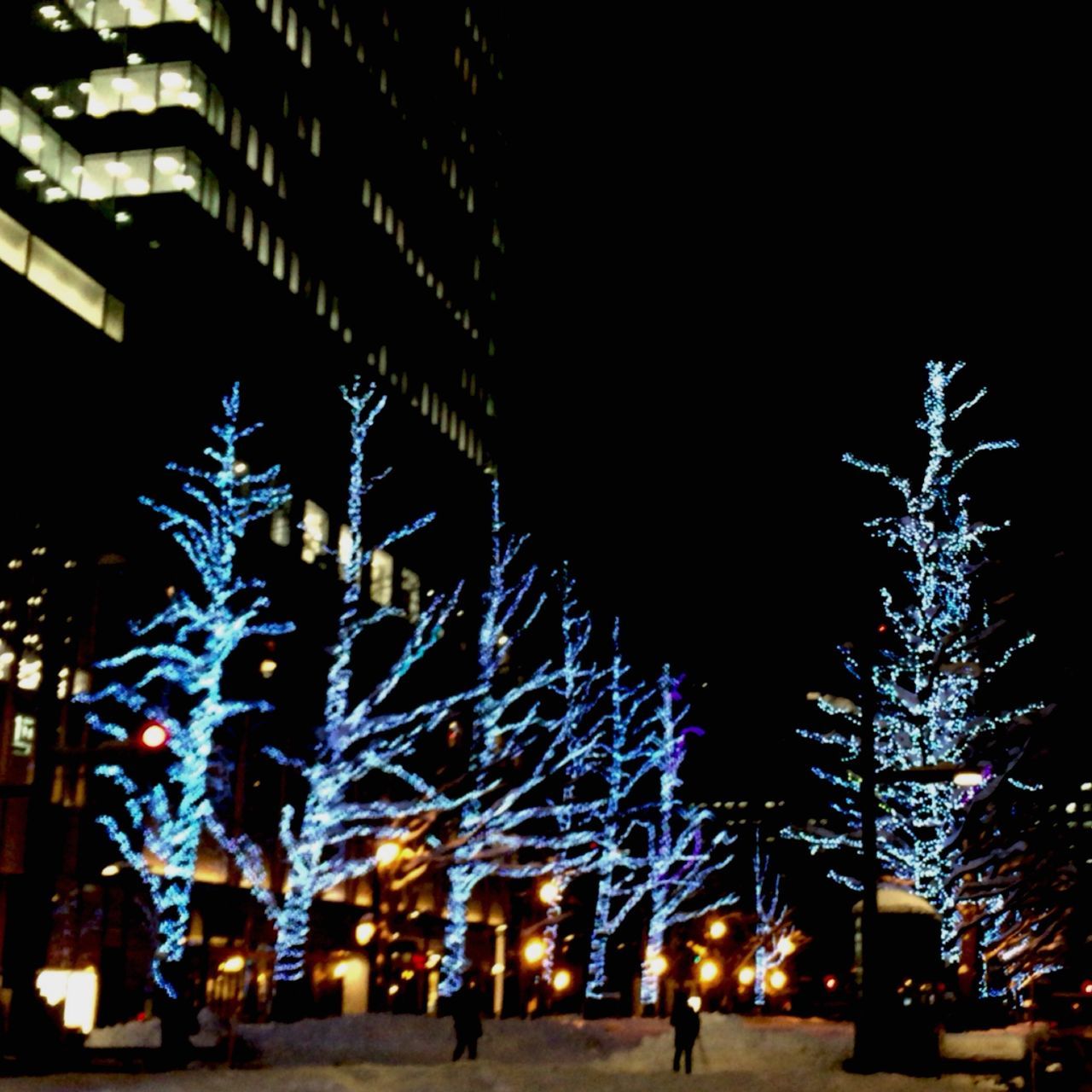 night, illuminated, christmas lights, lighting equipment, christmas decoration, outdoors, christmas, celebration, city, building exterior, built structure, architecture, tree, christmas tree, no people, sky, neon