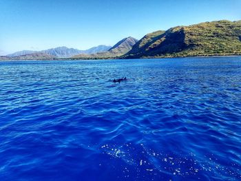 Scenic view of sea against clear blue sky