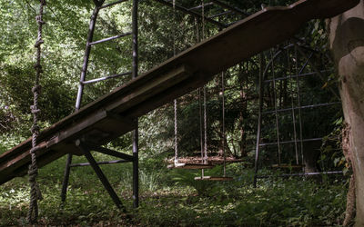 View of trees in forest