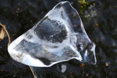 Close-up of ice crystals on rock