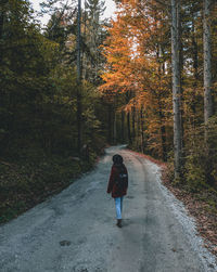 Rear view of young woman hiking on road in forest, path, way, moody, autumn, fall.