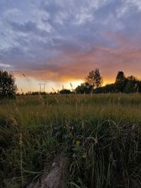 Scenic view of field against sky during sunset