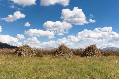 Scenic view of grassy field against cloudy sky