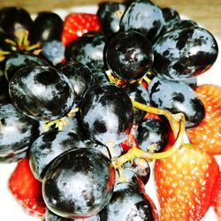 High angle view of fruits