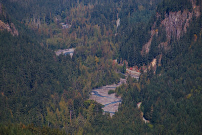 High angle view of road amidst trees in forest during autumn