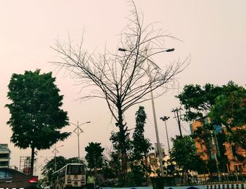 Trees by plants against sky in city