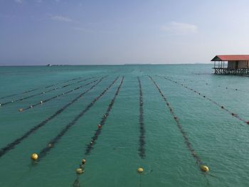 Seaweed farming in semporna, sabah, malaysia