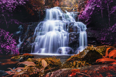 View of waterfall in forest