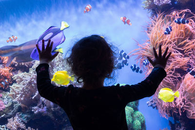 Rear view of girl looking at fish in aquarium