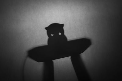 Shadow of person sitting on toy against wall