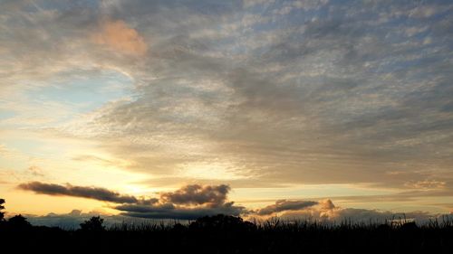 Silhouette trees on field against sky at sunset