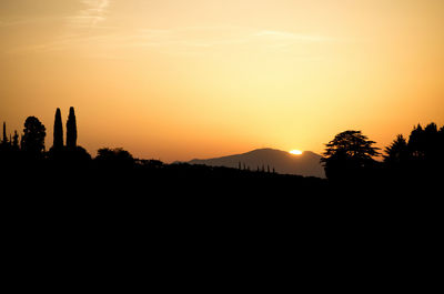 Silhouette trees on landscape against sky during sunset