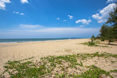 Scenic view of beach against sky