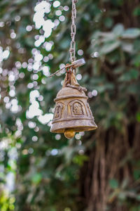 Low angle view of decoration hanging on tree