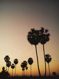 Silhouette palm trees against sky during sunset