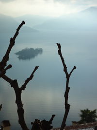 Bare tree against sky