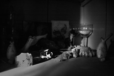 View of dogs relaxing on table at home