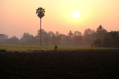 Man walking on field against sky during sunset