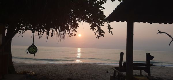 Silhouette trees on beach against sky during sunset