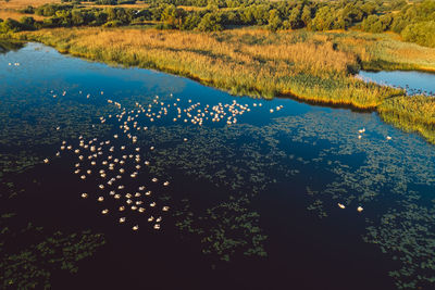 High angle view of a lake