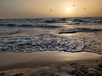 Beach during sunset with kite surfers in the landscape