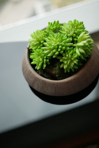 High angle view of potted plants on table