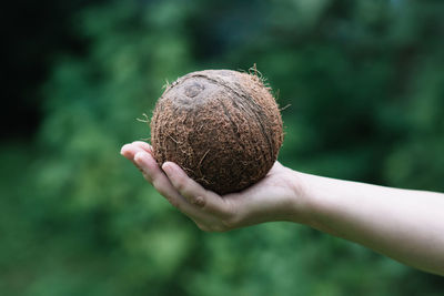 Close-up of hand holding apple