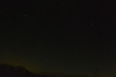 Low angle view of star field against star field