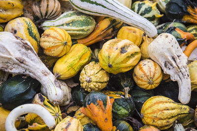 High angle view of pumpkins in market