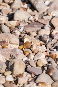 Full frame shot of stones